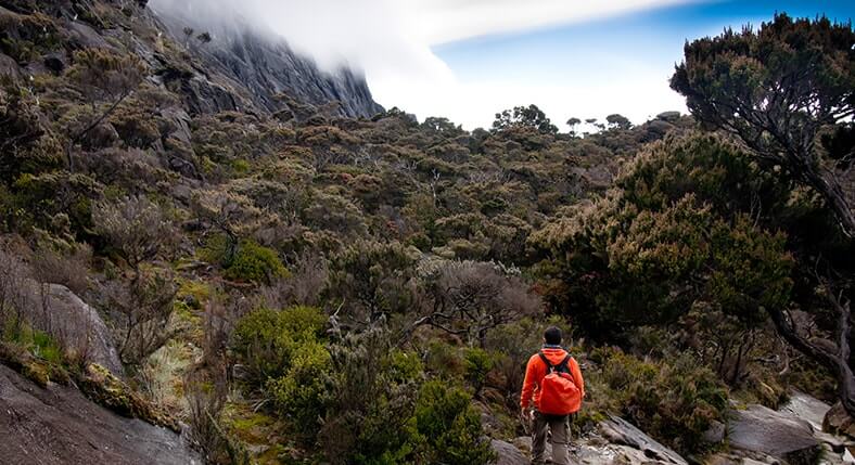 Kinabalu National Park Adventure Tours